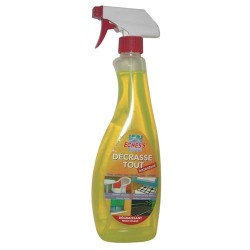 ECNESS DECRASSE TOUT PISTOLET 750ML 